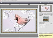 AKVIS Artsuite 2013